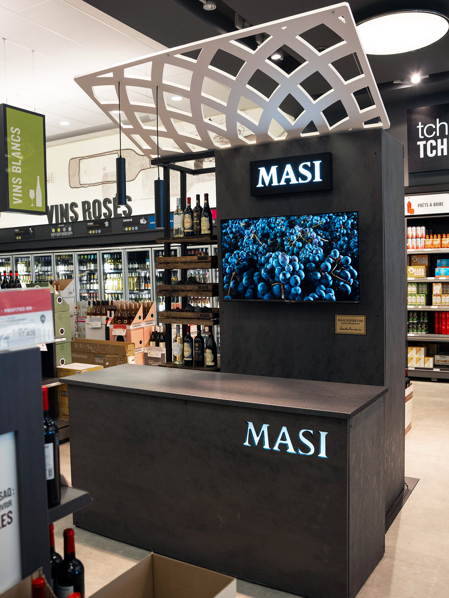 MASI Expertise